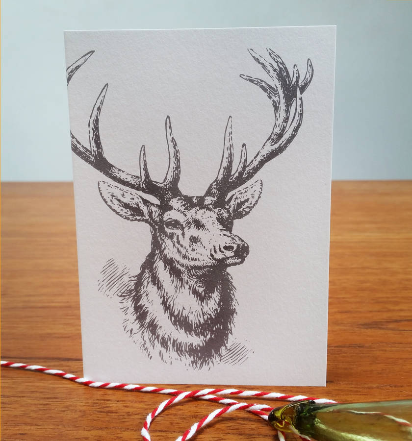Christmas Stag Reindeer Card By Susan Taylor | notonthehighstreet.com