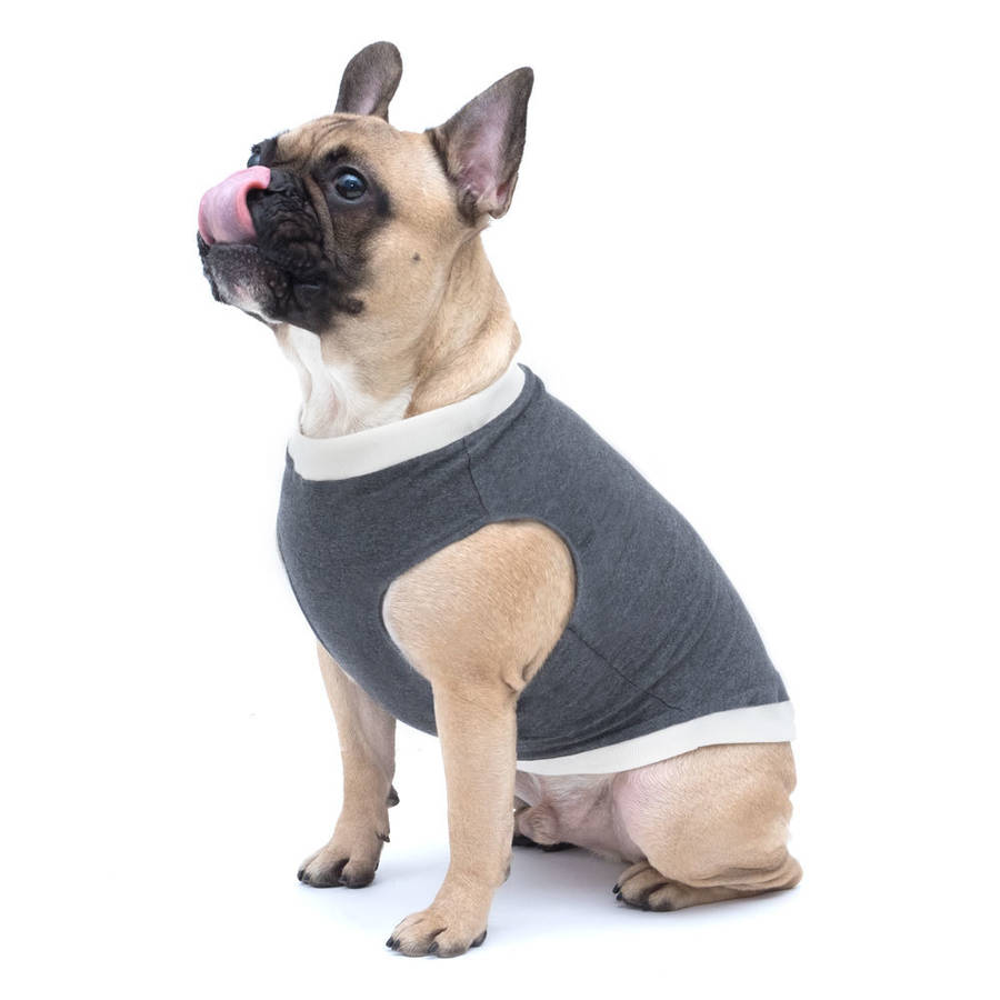 Dark Grey Dog Jumper With Colour Options By Jolie Design ...