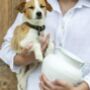Handcrafted Glazed White Jug, thumbnail 2 of 4