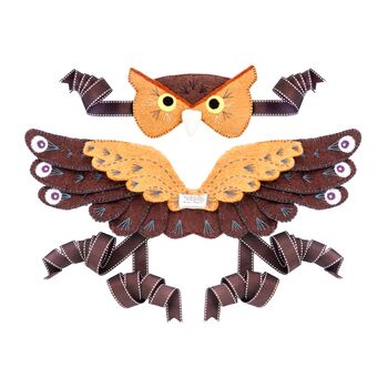 Owl Head Dress And Wings, 3 of 3