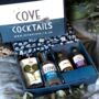Cove Cocktails Martini Kit, thumbnail 1 of 3