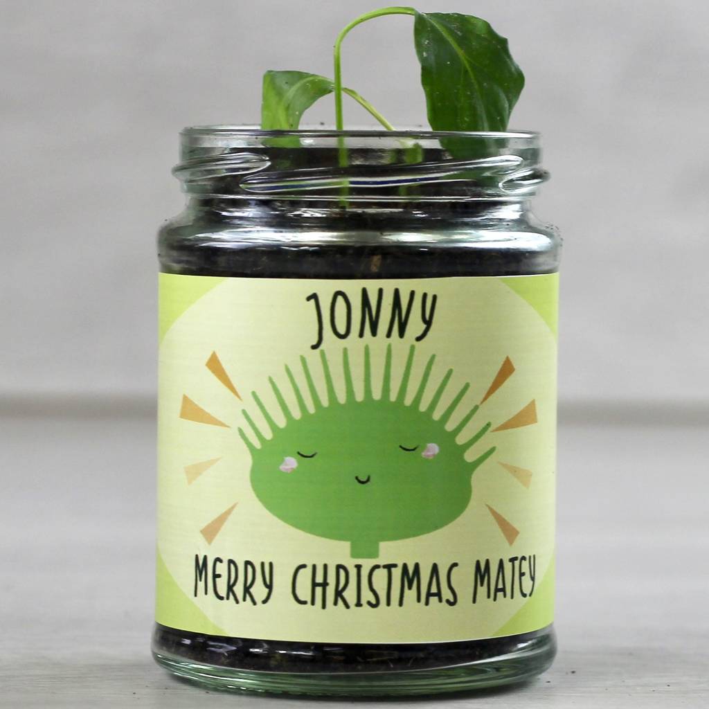 personalised bug eating plant grow kit by beecycle