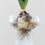 Ribbed Glass Hyacinth Vase, thumbnail 2 of 4