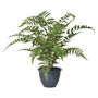 Faux Green Bracken Fern Plant Small Or Large, thumbnail 7 of 7