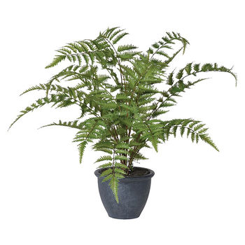 Faux Green Bracken Fern Plant Small Or Large, 7 of 7