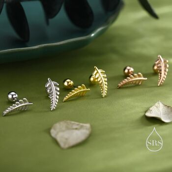 Sterling Silver Little Fern Leaf Stud Earrings, 7 of 12