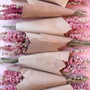 Dried Pink Delphiniums, 3 of 4