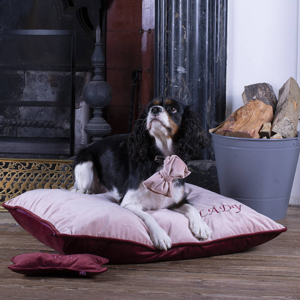 Personalised Pet Bed In Pink Velvet, 1 of 7