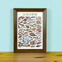 Sea Fish Of Britain Watercolour Postcard, thumbnail 5 of 9