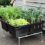 Self Watering Vegetable Plot For Courtyards And Patios, thumbnail 11 of 11