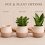Personalised Plant Pot Gift For Dad, Daddy, Grandad, thumbnail 2 of 6