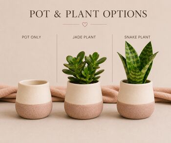 Personalised Plant Pot Gift For Dad, Daddy, Grandad, 2 of 6