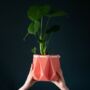 Origami Self Watering Eco Plant Pot: 18cm | Coral, thumbnail 5 of 6