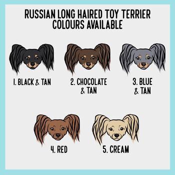 Personalised Toy Terrier ID Tag, 3 of 4