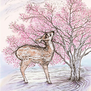'Doe A Deer' Mixed Pack Of Eight Greeting Cards, 3 of 8