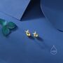 Four Point Star Screw Back Earrings In Sterling Silver, thumbnail 2 of 10