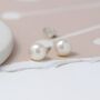 Sterling Silver Ivory Freshwater Pearl Stud Earrings, thumbnail 3 of 8