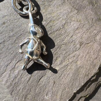 Lucky Rabbit Keyring In Sterling Silver, 4 of 5