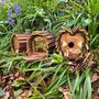 Nest Box, Insect Hotel And Squirrel Feeder Wildlife Set, thumbnail 8 of 9