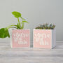 'You've Got This' Positivity Plant Pot And Houseplant, thumbnail 4 of 7