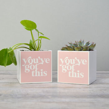 'You've Got This' Positivity Plant Pot And Houseplant, 4 of 7