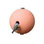 Suspended Birdball Bird House, thumbnail 10 of 11