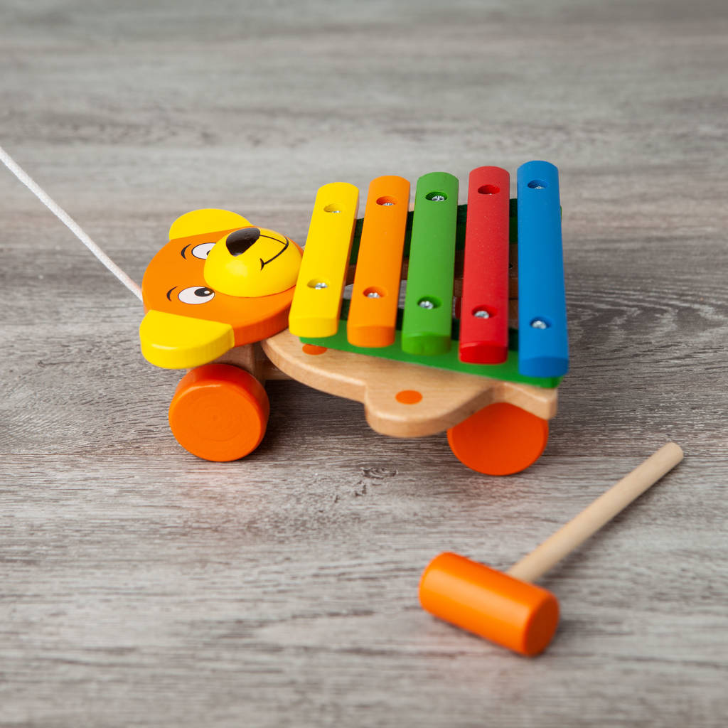 Wooden Colourful Animal Xylophone By Little Baby Company