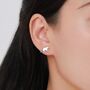 Sterling Silver Very Cute Racoon Stud Earrings, thumbnail 10 of 12