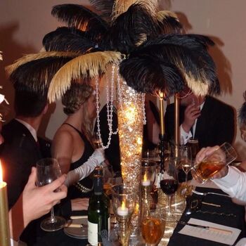 Large 30 To 35cm Imitation Ostrich Feathers, 5 of 12
