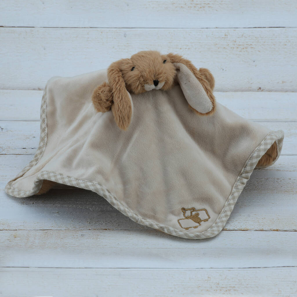 Image of Baby Gift Set, Brown Bunny Puppet Soother And Rattle