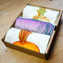 Allotment Vegetable Tea Towel Gift Box, thumbnail 3 of 7