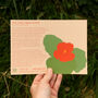 Nasturtium Greetings Card With Seeds, thumbnail 4 of 8