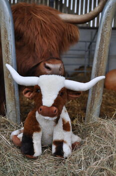 Large Texas Longhorn 30cm Cow With Personalised Heart, 12 of 12