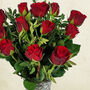 Dozen Red Roses Letterbox Fresh Flowers, thumbnail 5 of 7