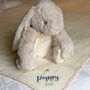 Personalised Cuddly Rabbit And Blanket, thumbnail 3 of 4