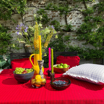 Outdoor Check Tablecloth, 5 of 6