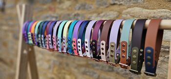 Waterproof Biothane® Two Coloured Dog Collar, 3 of 10