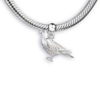Racing Pigeon Sterling Silver Charm, 5 of 9