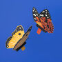 Create Your Own Fluttering Butterflies, thumbnail 3 of 4