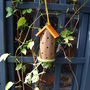 Kid's Ladybird Gardening Set, thumbnail 4 of 8