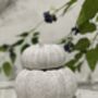 Set Of Three Handmade Stone Pumpkins, thumbnail 12 of 12