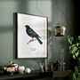 Wall Print Of A Blackbird, thumbnail 2 of 6