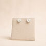 7mm Sterling Silver Daisy Stud Earrings, thumbnail 3 of 6