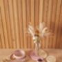 Pink Dinner Plate, thumbnail 2 of 2