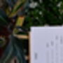 Conservatory Order Of The Day Signage, thumbnail 3 of 3