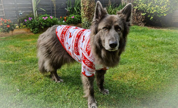 Dog Christmas Pyjamas, 7 of 9