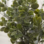 Faux Eucalyptus Plant In Stone Effect Pot, thumbnail 4 of 5