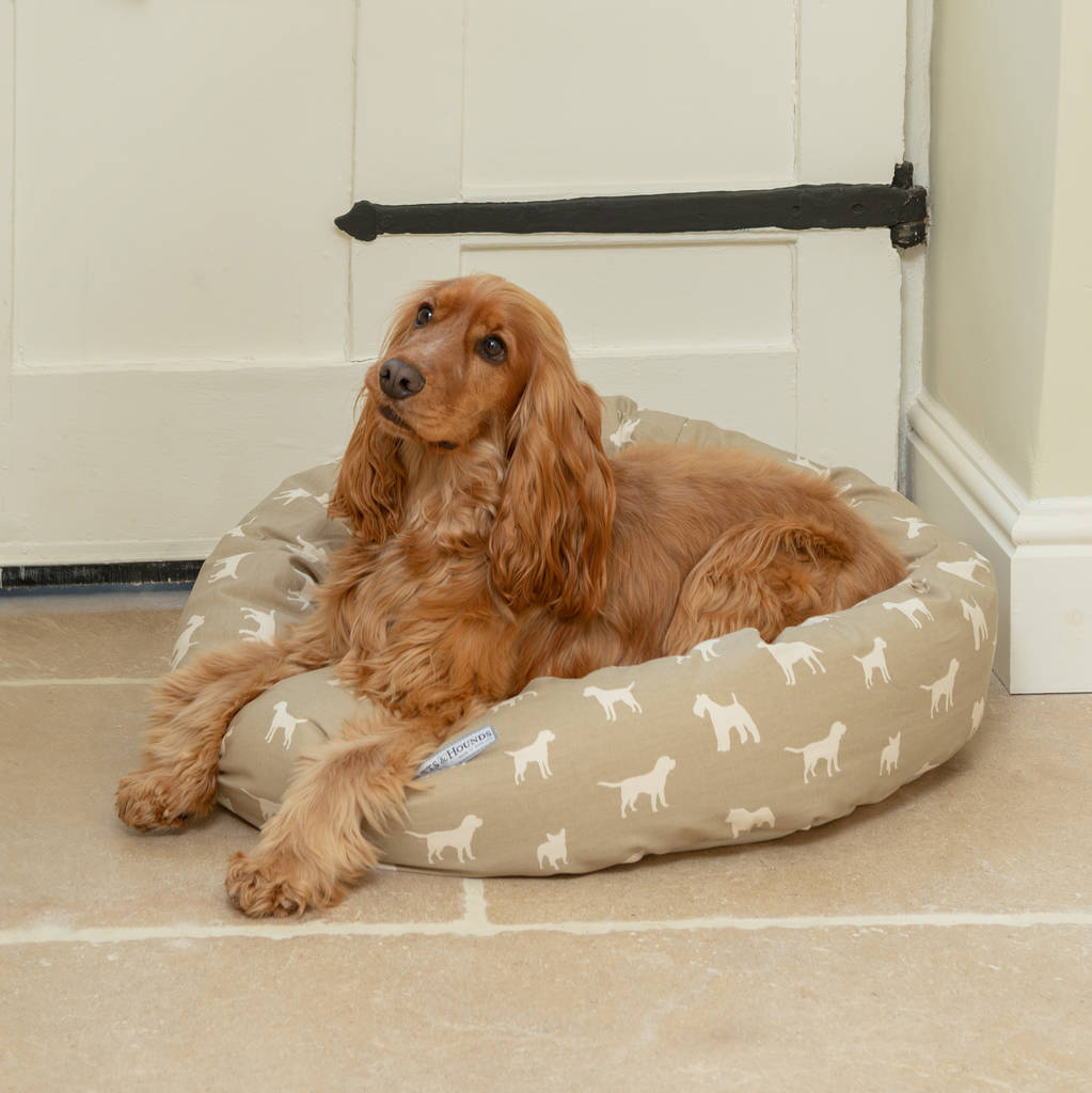 donut pillow dog