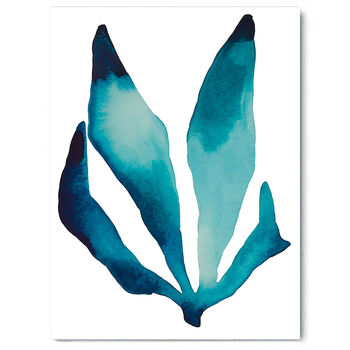 Sea Life, Canvas Art By Palm Valley | notonthehighstreet.com