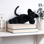 Merlin Cat Easy Crochet Kit, thumbnail 3 of 10